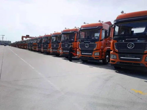 陜汽重卡 價值引領贏市場，品質營銷交付忙，助力國內貨物運輸代理蓬勃發展